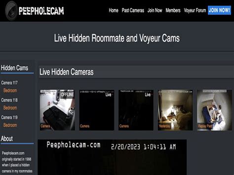 voieur house cam|Peepholecam